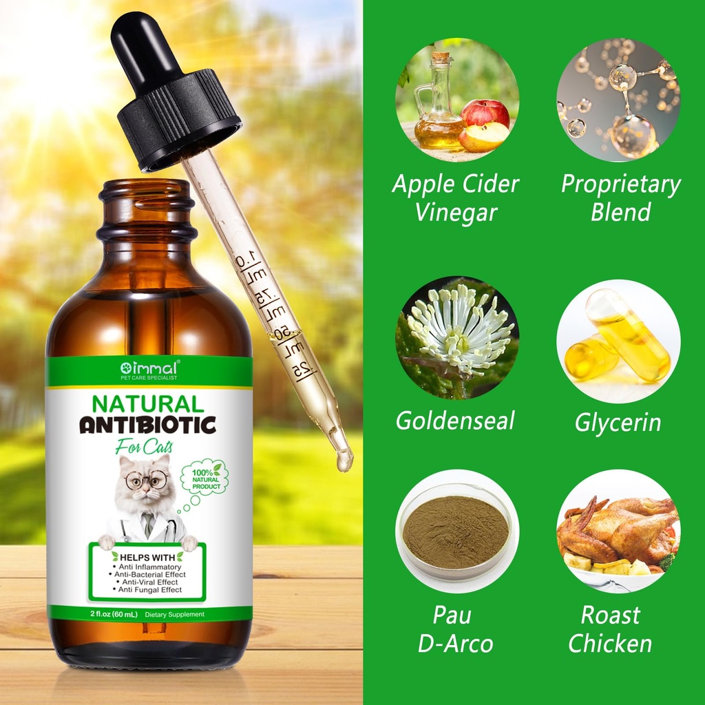 antibiotics-for-cats-cat-antibiotics-for-4.jpg