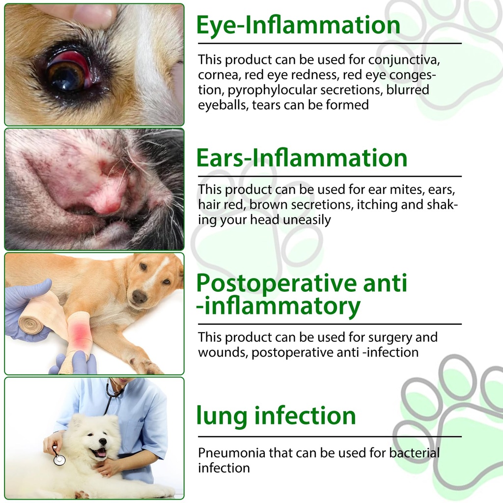natural-antibiotics-for-dogs-pet-supplem-6.jpg