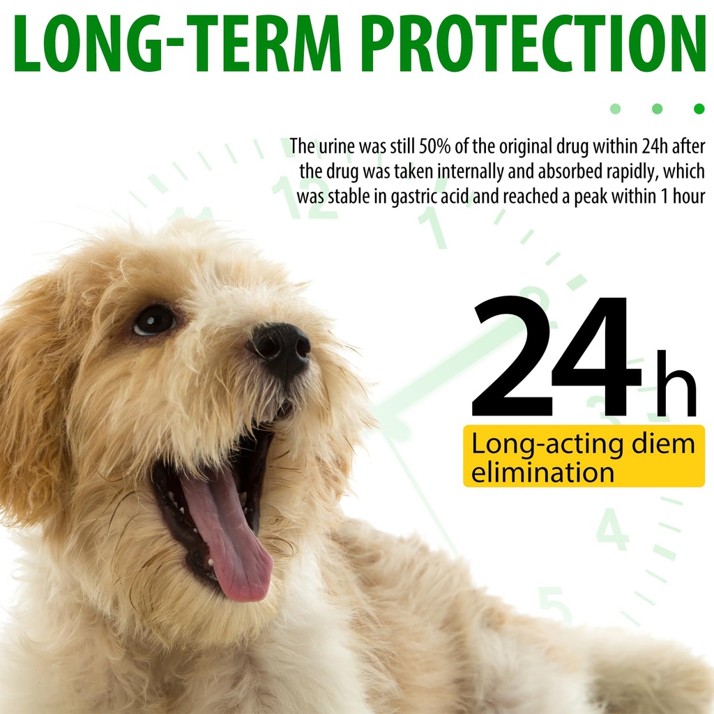 natural-antibiotics-for-dogs-pet-supplem-4.jpg
