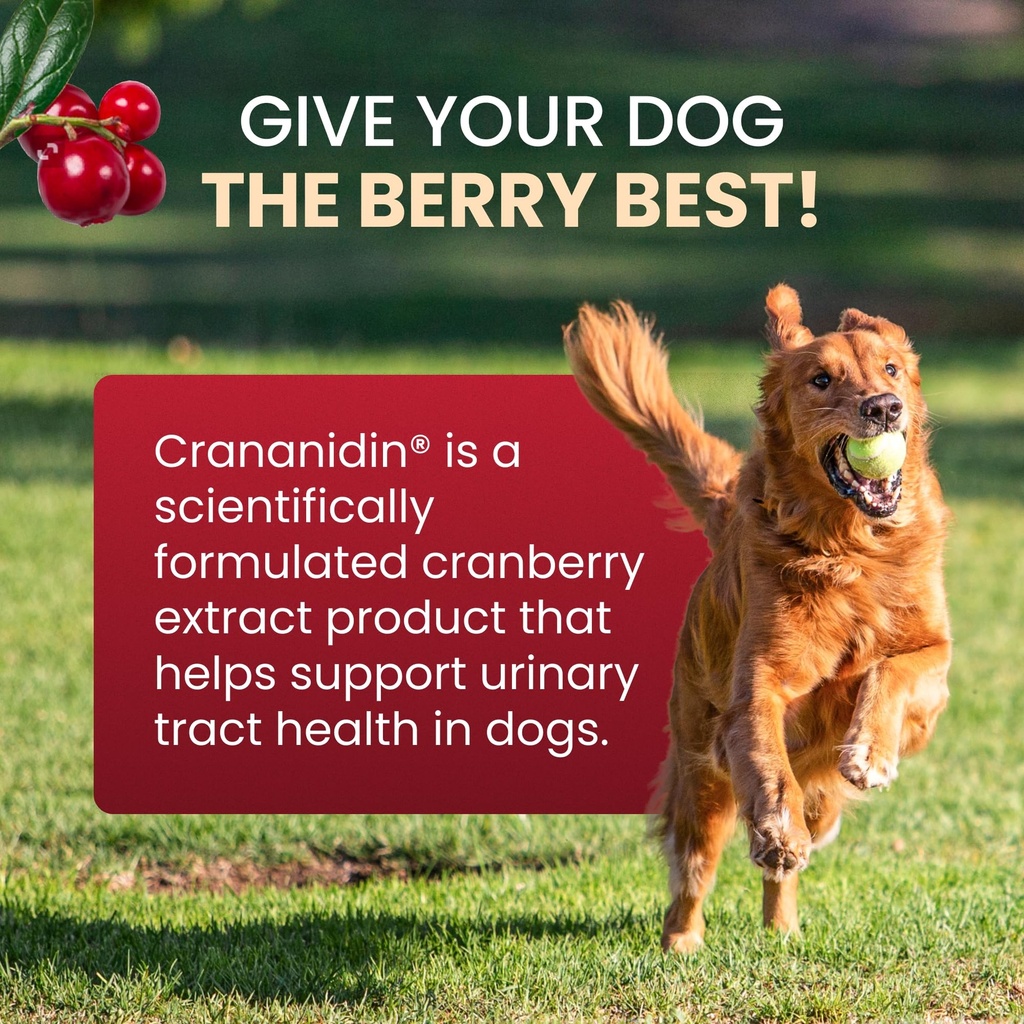 nutramax-crananidin-for-dogs-urinary-tra-3.jpg