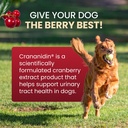 nutramax-crananidin-for-dogs-urinary-tra-3.jpg