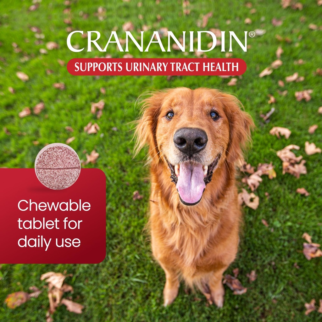 nutramax-crananidin-for-dogs-urinary-tra-4.jpg