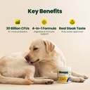 probiotics-for-dogs-30-billion-cfu-with--4.jpg