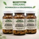 pat-s-herbals-echinacea-goldenseal-capsu-3.jpg