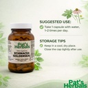 pat-s-herbals-echinacea-goldenseal-capsu-5.jpg