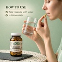 pat-s-herbals-echinacea-goldenseal-capsu-6.jpg