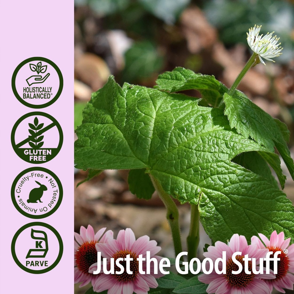 nature-s-answer-echinacea-and-goldenseal-3.jpg