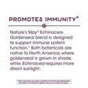 natures-way-echinacea-goldenseal-root-10-6.jpg