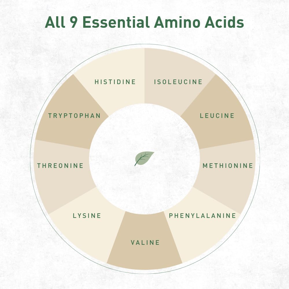 organic-hemp-protein-powder-unflavored-4-3.jpg