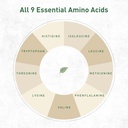 organic-hemp-protein-powder-unflavored-4-3.jpg
