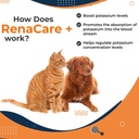 renacare-k-is-for-renal-k-potassium-gluc-4.jpg