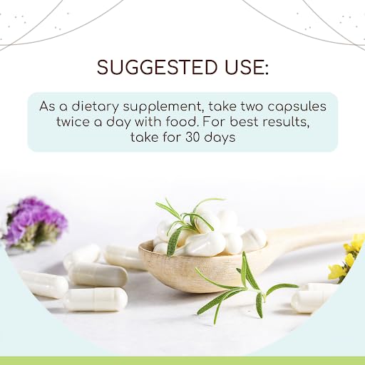 butcher-s-broom-root-capsules-500-mg-usd-2.jpg
