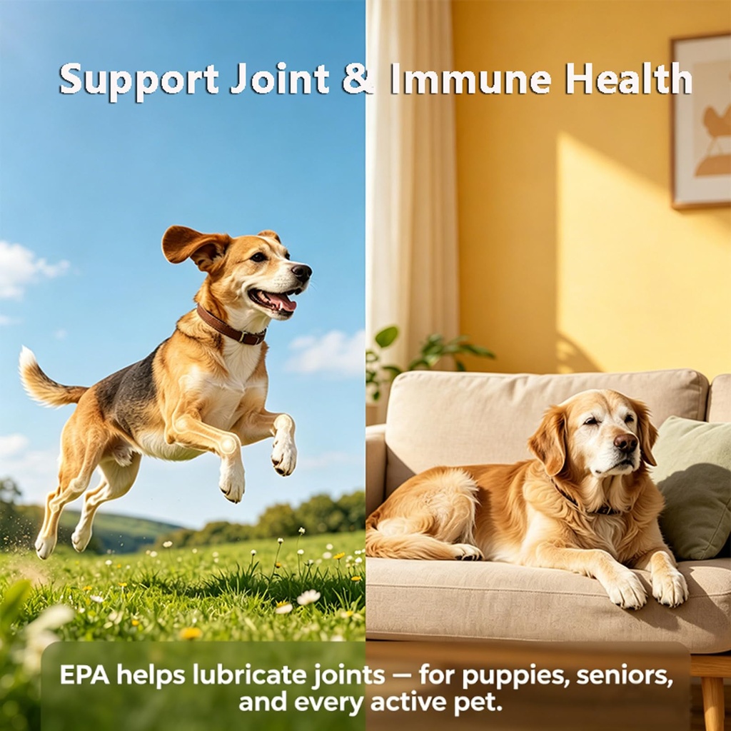 vegan-algae-oil-for-dogs-cats-omega-3-ep-4.jpg
