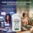 pristine-s-holy-basil-tulsi-500mg-adapto-4.jpg