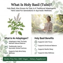 pristine-s-holy-basil-tulsi-500mg-adapto-5.jpg