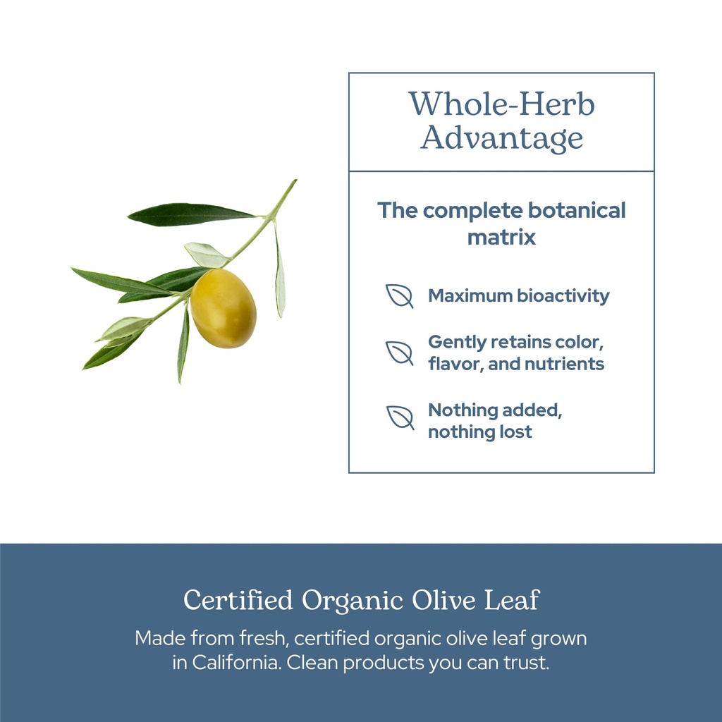 eclectic-herb-organic-olive-leaf-capsule-5.jpg