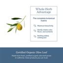 eclectic-herb-organic-olive-leaf-capsule-5.jpg