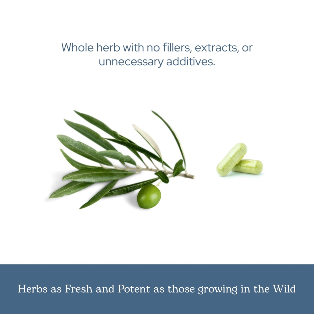 eclectic-herb-organic-olive-leaf-capsule-6.jpg
