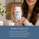 eclectic-herb-organic-olive-leaf-capsule-4.jpg