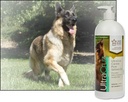 ultracruz-canine-pure-salmon-oil-supplem-3.jpg