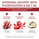 liposomal-astaxanthin-12mg-with-hyaluron-4.jpg