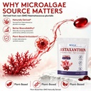 astaxanthin-12mg-supplement-natural-micr-3.jpg