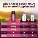 nad-resveratrol-supplement-2464mg-liposo-4.jpg