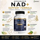nad-resveratrol-quercetin-with-japanese--3.jpg
