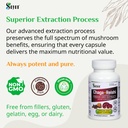 chaga-and-natural-reishi-mushroom-capsul-3.jpg
