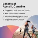 pureformulas-acetyl-l-carnitine-cognitiv-5.jpg
