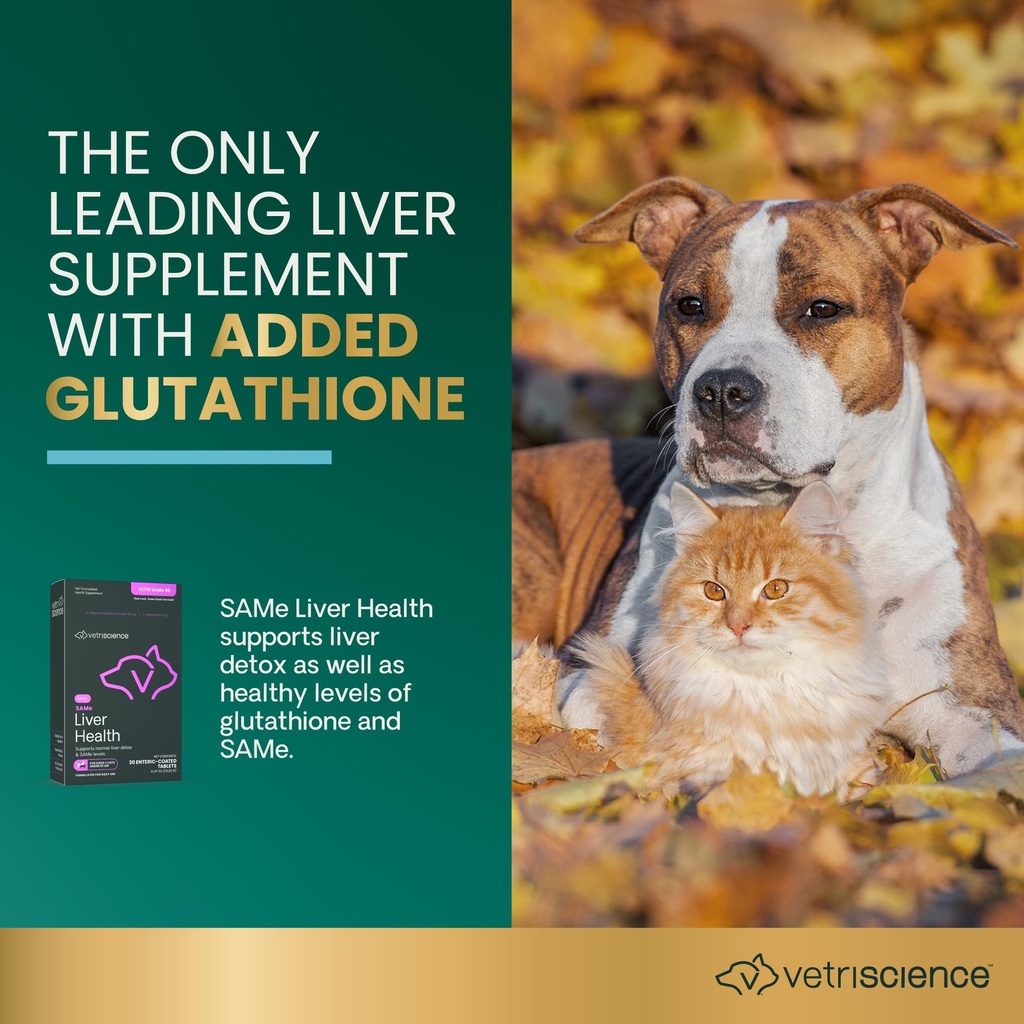 vetriscience-same-liver-health-tablets-f-4.jpg