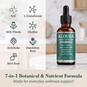 aloura-liver-restore-drops-liquid-liver--2.jpg