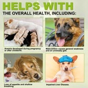 milk-thistle-for-dogs-milk-thistle-suppl-4.jpg