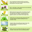 milk-thistle-for-dogs-milk-thistle-suppl-2.jpg