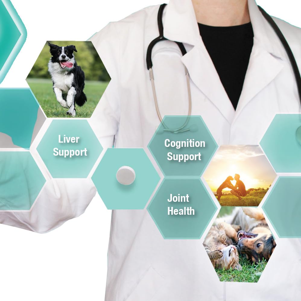 denestra-same-for-dogs-s-adenosyl-l-meth-5.jpg