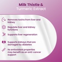 bio-petactive-silycumin-milk-thistle-tur-4.jpg