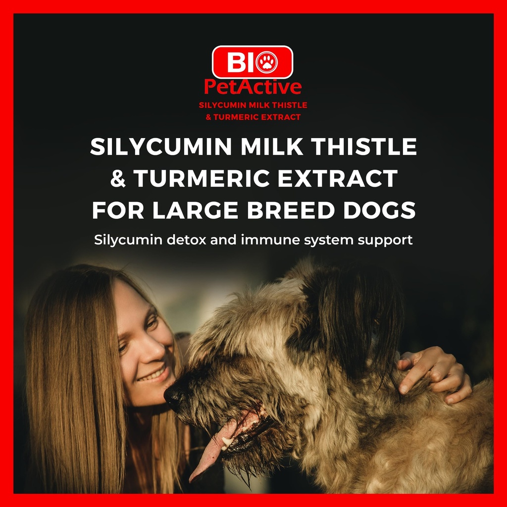 bio-petactive-silycumin-milk-thistle-tur-2.jpg