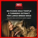 bio-petactive-silycumin-milk-thistle-tur-2.jpg