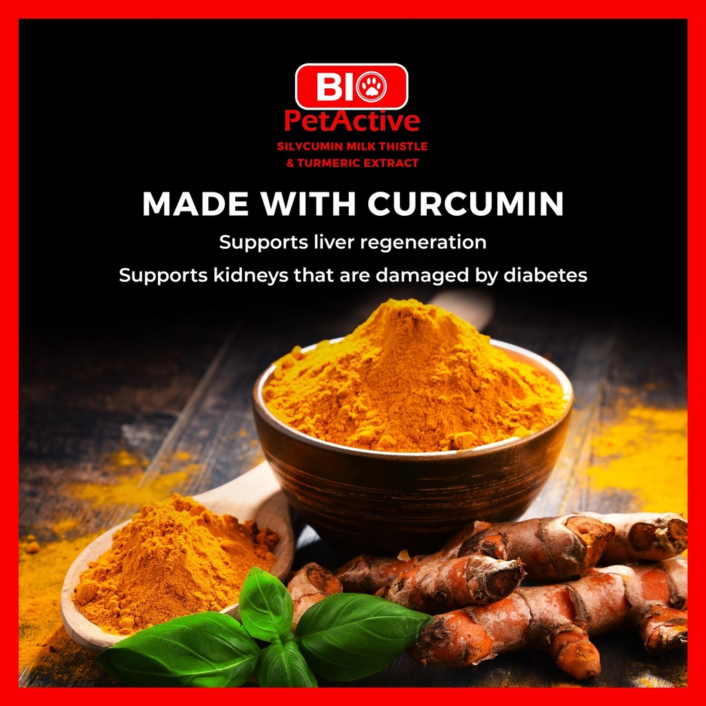 bio-petactive-silycumin-milk-thistle-tur-4.jpg