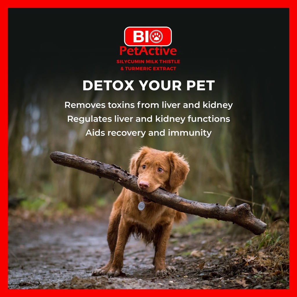 bio-petactive-silycumin-milk-thistle-tur-5.jpg