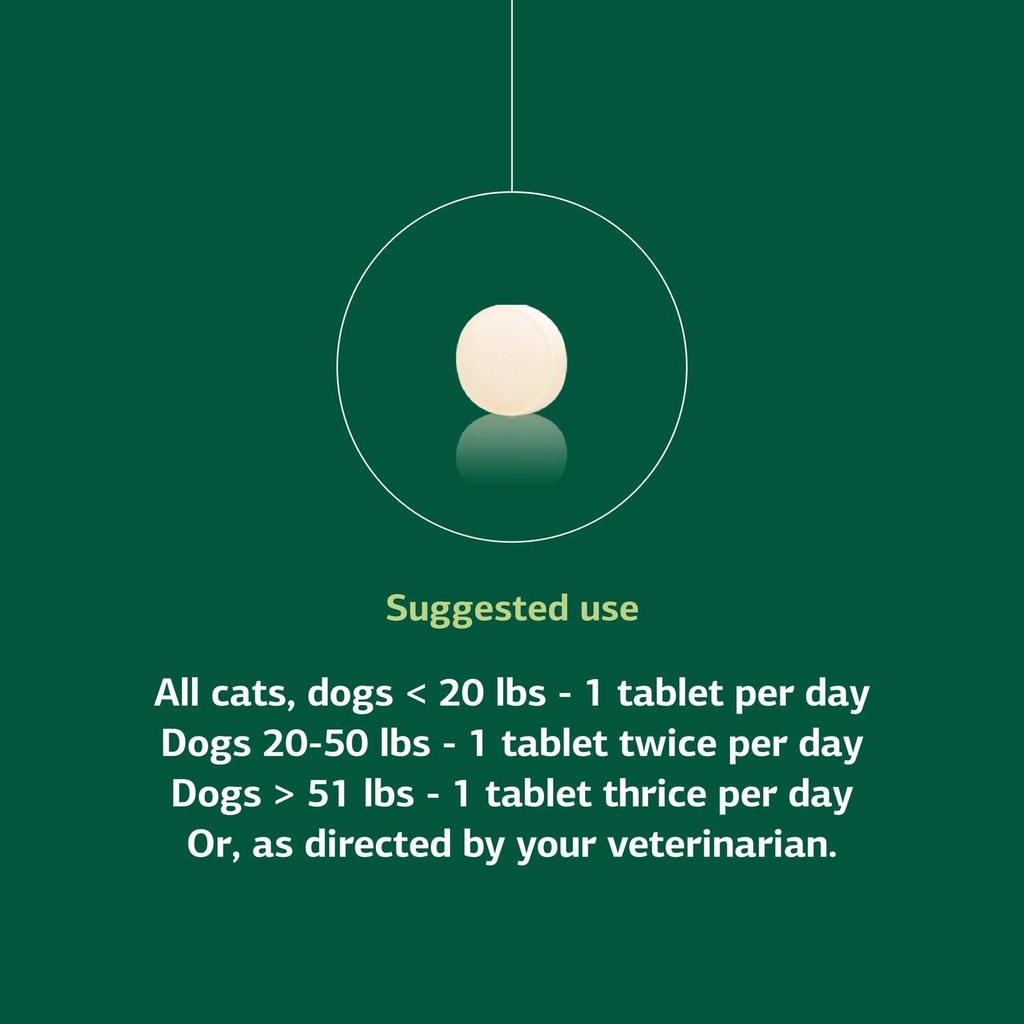 standard-process-inc-vf-antronex-for-pet-5.jpg