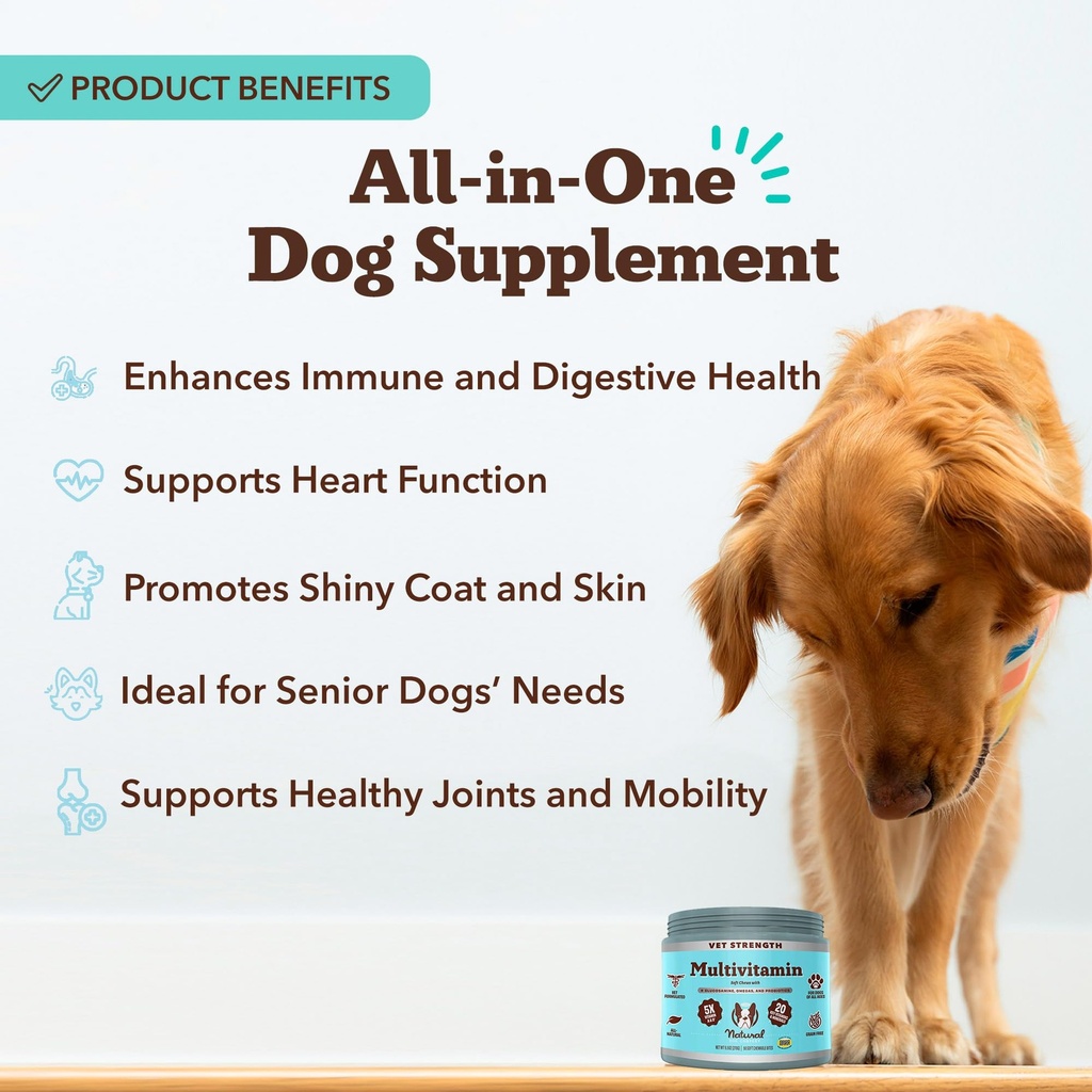 natural-dog-company-senior-dog-health-bu-5.jpg