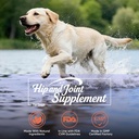 hip-and-joint-supplement-powder-for-dogs-6.jpg
