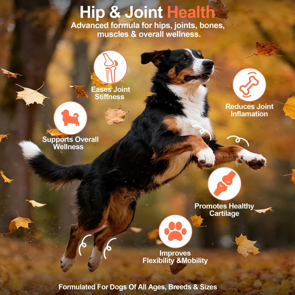 hip-and-joint-supplement-powder-for-dogs-3.jpg