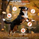 hip-and-joint-supplement-powder-for-dogs-3.jpg