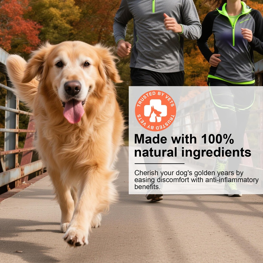hip-and-joint-supplement-powder-for-dogs-4.jpg