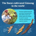 dragon-herbs-ginseng-sublime-drops-all-n-4.jpg