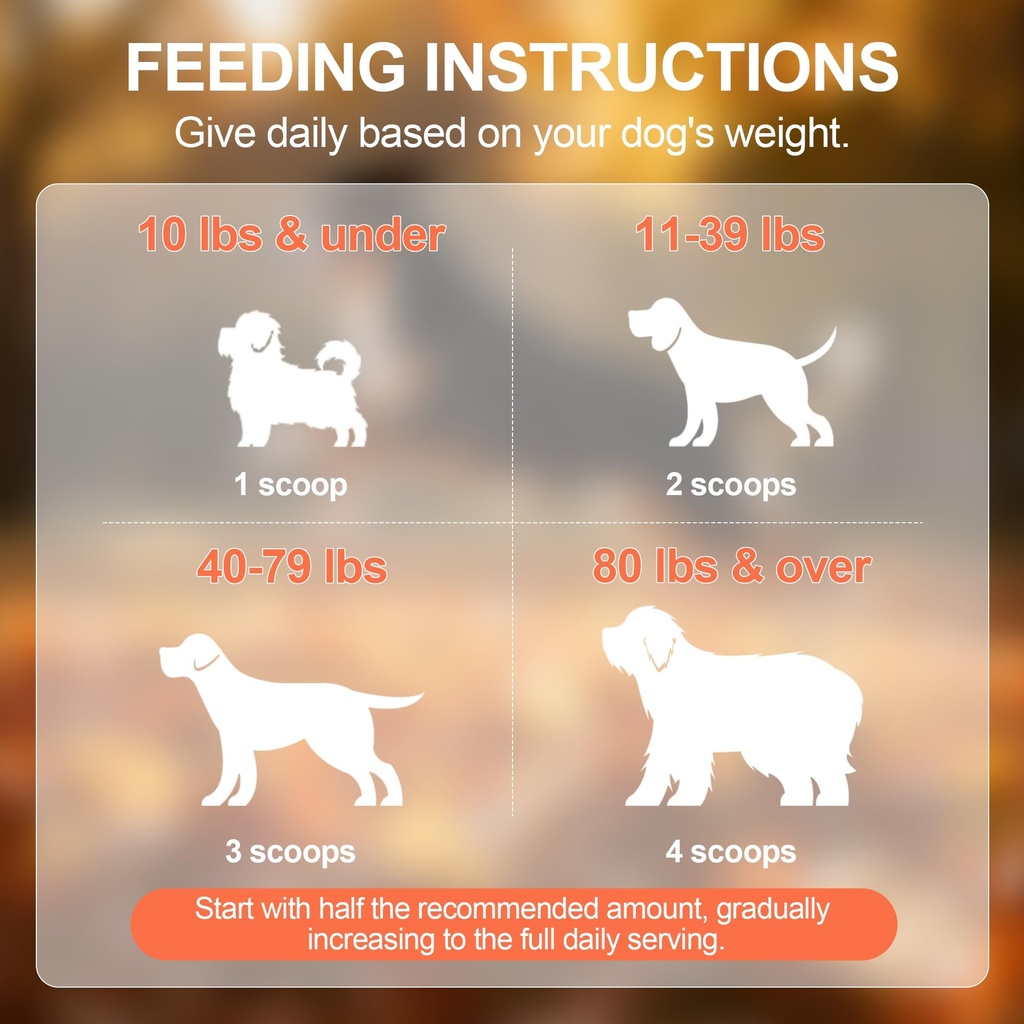 hip-and-joint-supplement-powder-for-dogs-5.jpg