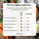 dog-multivitamin-10-in-1-with-glucosamin-4.jpg