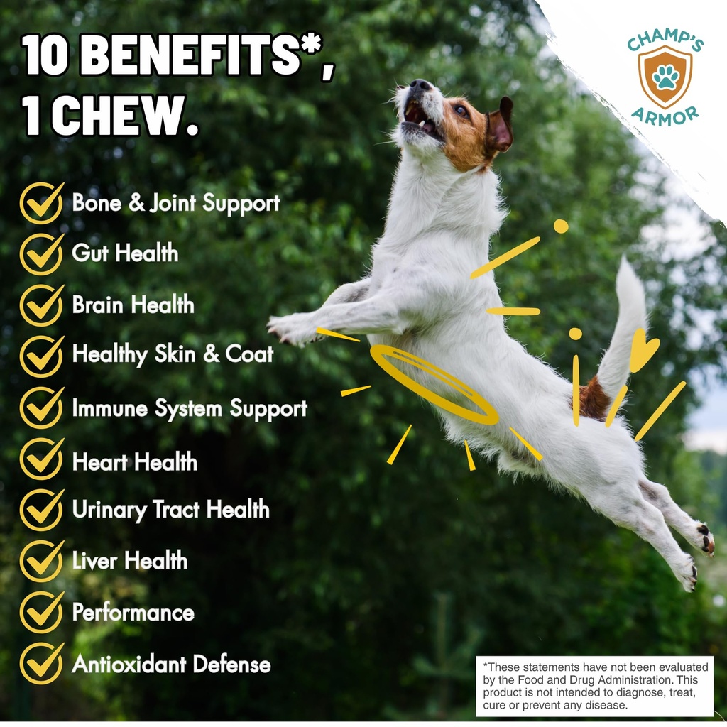 dog-multivitamin-10-in-1-with-glucosamin-2.jpg
